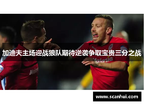 加迪夫主场迎战狼队期待逆袭争取宝贵三分之战