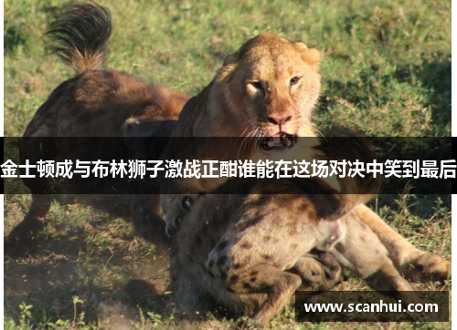 金士顿成与布林狮子激战正酣谁能在这场对决中笑到最后