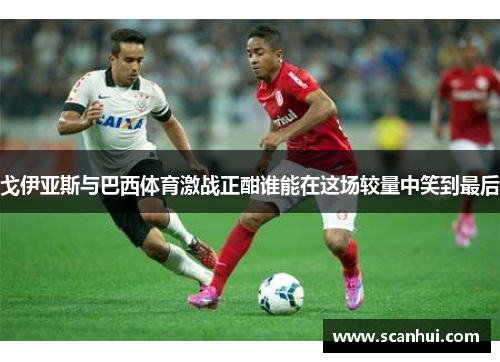 戈伊亚斯与巴西体育激战正酣谁能在这场较量中笑到最后